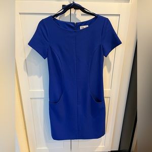 Cobalt blue Eliza J shift dress with pockets